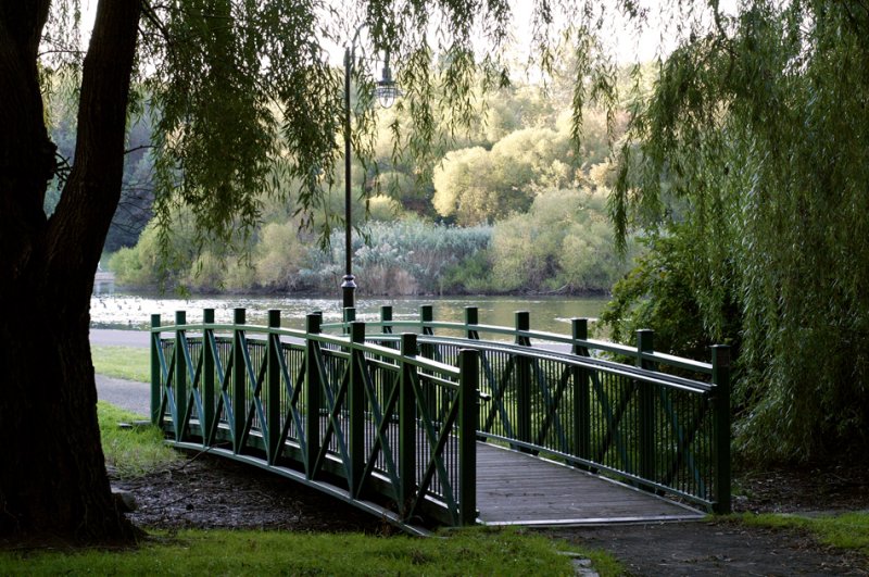 Foot Bridge #4