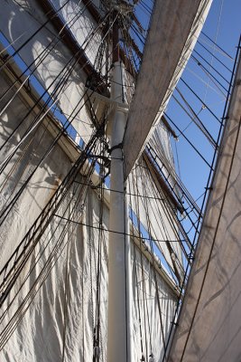 IMG_7861.jpg