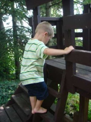 the little people ladder (or the lpl, as dad calls it)