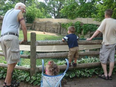 lincoln park zoo