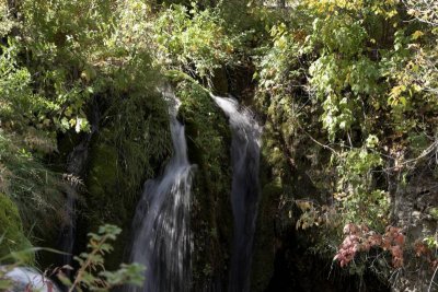 IMG_6699.jpg