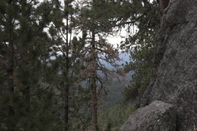 IMG_6997.jpg