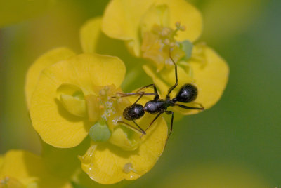g5/46/537846/3/98473557.9xiUkx8f.jpg