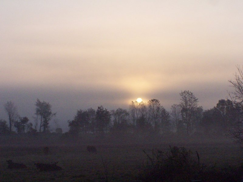 misty morning light