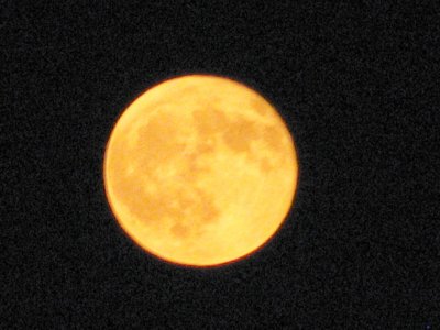 orange moon