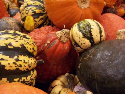 grocery store gourds