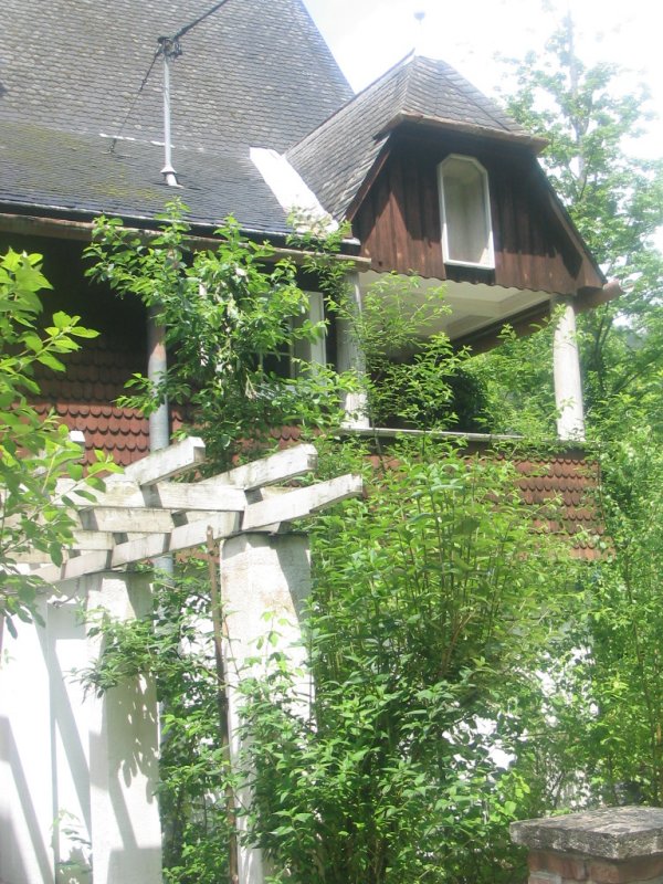 Villa Ladewig at Gutenstein
