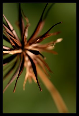 IMG_9363_web.jpg