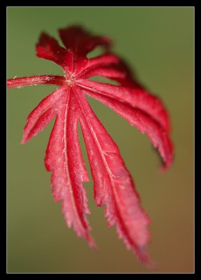 IMG_9365_web.jpg