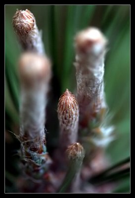 IMG_9401_web.jpg