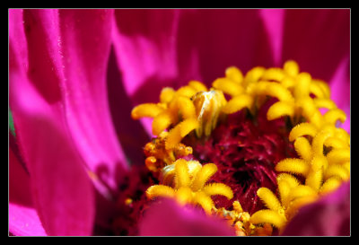 IMG_9480_web.jpg