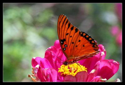 IMG_9559_web.jpg