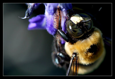 IMG_9786_web.jpg