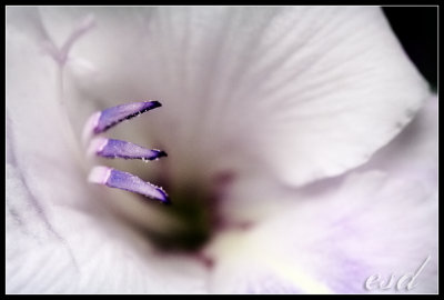 IMG_7022_web.jpg