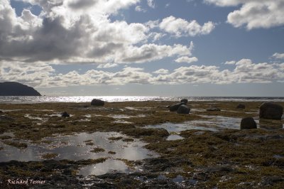 Parc national Gros Morne - Rocky Harbour Les berges pict3667.jpg