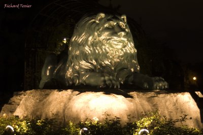 Jardin Botanique de Montral, La magie des Lanternes pict4817.jpg