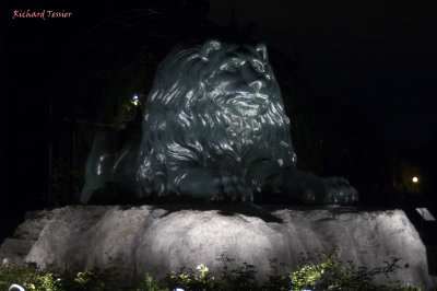 Jardin Botanique de Montral, La magie des Lanternes pict4819.jpg