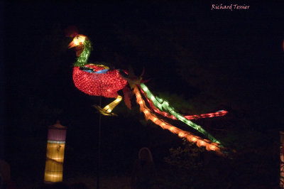 Jardin Botanique de Montral, La magie des Lanternes pict4823.jpg