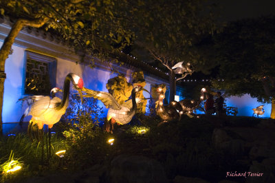 Jardin Botanique de Montral, La magie des Lanternes pict4832.jpg