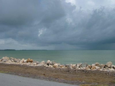Rain Coming