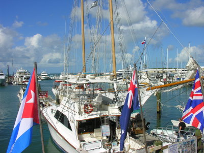 Harbor View