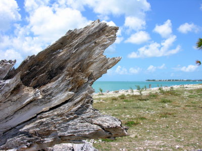 Zachary Taylor Park