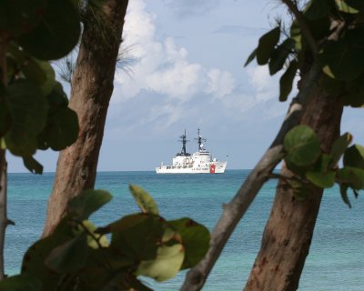 Coast Guard In The Trees