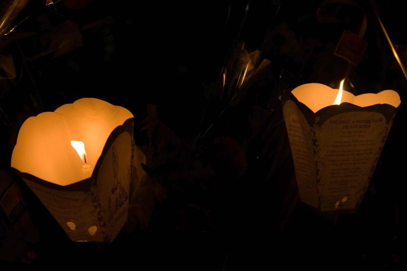 _MG_7936328.jpg