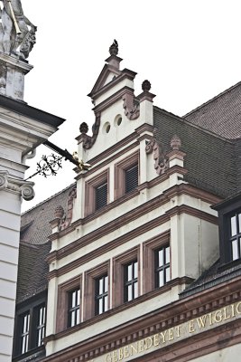 _MG_7554.jpg