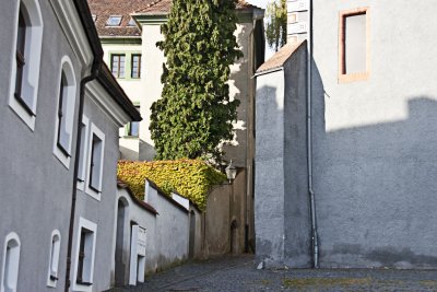 _MG_7615.jpg