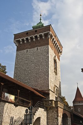 _MG_7844.jpg