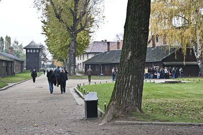 _MG_7849.jpg
