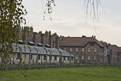 _MG_7852.jpg