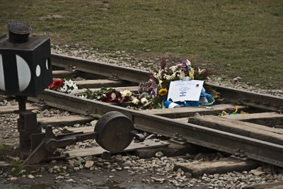_MG_7859.jpg