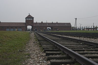 _MG_7866.jpg
