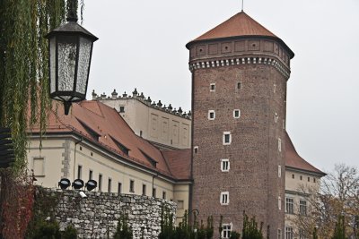 _MG_7945.jpg