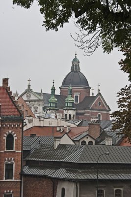 _MG_7951.jpg