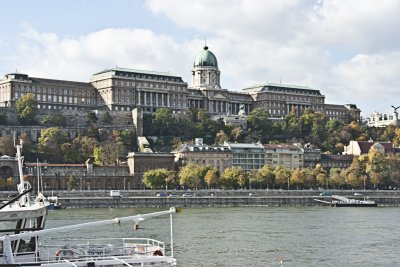_MG_7990.jpg