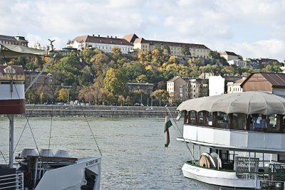 _MG_7991.jpg