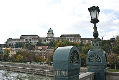 _MG_8004.jpg