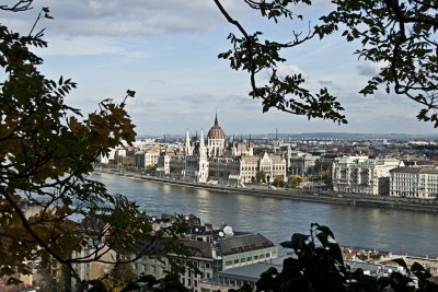 _MG_8007.jpg