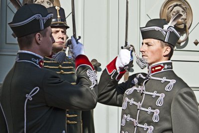 _MG_8017.jpg