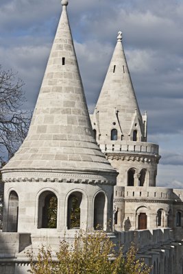 _MG_8050.jpg