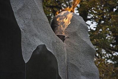 _MG_8155.jpg
