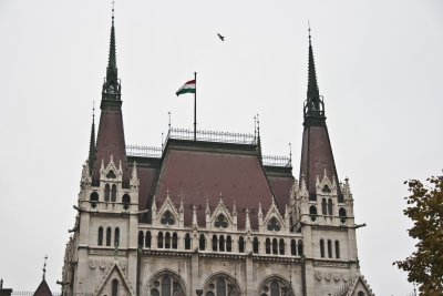 _MG_8159.jpg