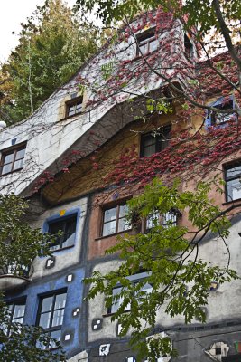 _MG_8363.jpg
