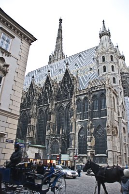 _MG_8425.jpg
