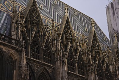 _MG_8446.jpg