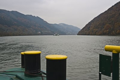 _MG_8503.jpg