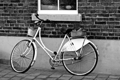 fiets / bicycle